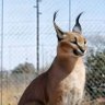 ابو نعيمه المطعنى profil fotoğrafı