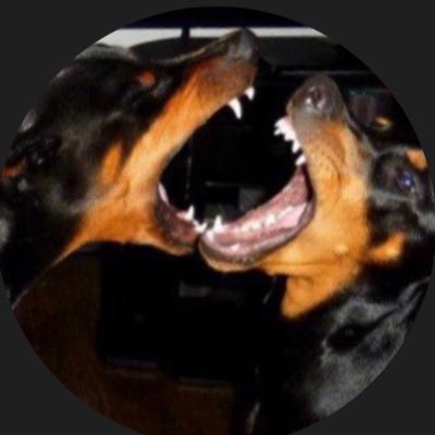 DobermanUSA7's profile picture