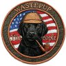 wastepup 的头像