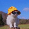 Tick Nokes's profile picture