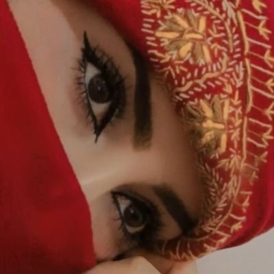 100_tnt4470's profile picture