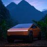 Profilbild von i hodl bitcoin and tesla