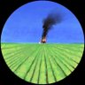 D's profile picture