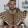 Profilbild von Msuthu🇿🇦