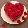 ذكرى القلوب 💙's profile picture