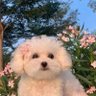 TaiGA's profile picture