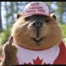 Shane 🇨🇦🍁's profile picture