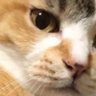 オルフェ 的头像