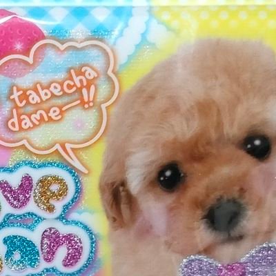 geki_inu's profile picture