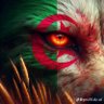 sofiane reo 🇩🇿🇩🇿🇹🇳🇱🇾🇵🇸 的头像