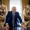 Фото профиля Aussie SUPPORT Trump
