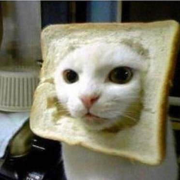kouji2525's profile picture