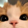 Profilbild von FZZF
