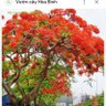 Tân Phạm 的头像