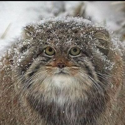 Conscie64818903's profile picture