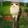 sofnar69 profil fotoğrafı