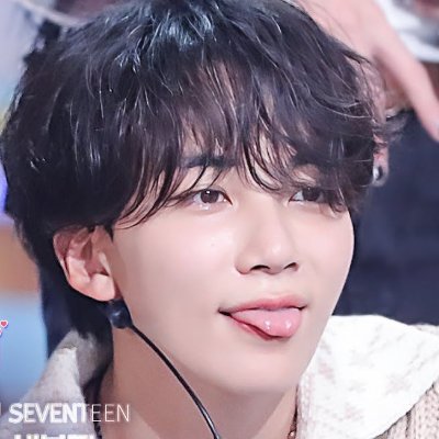 감자누나's profile picture