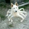  ︎︎ profil fotoğrafı