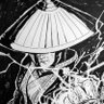 raden 的头像