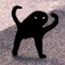 Profilbild von e-Szafa ze sznurkiem ⚠️ e-symetrysta