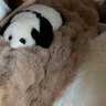 你最出色's profile picture