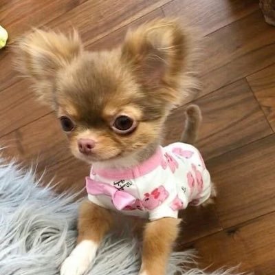 뮹's profile picture
