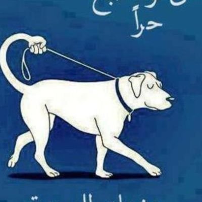 BashirSakin's profile picture