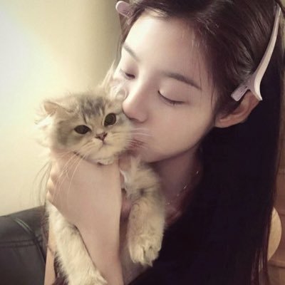 猫猫月's profile picture