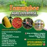 temmybee_agro's profile picture