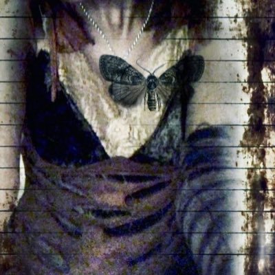 starveeng's profile picture