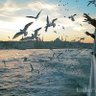 Фото профиля Sadece biri
