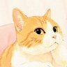 MIMasa's profile picture