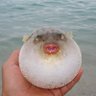 J Sadowsky's profile picture