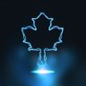 Maple's profile picture