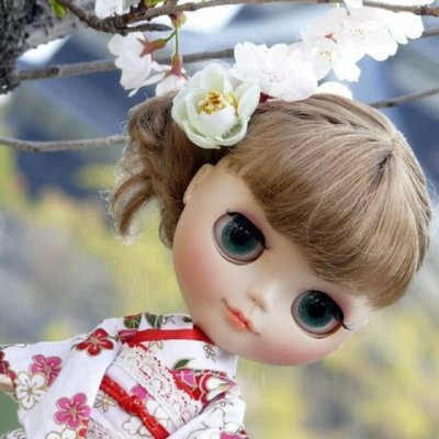 lily_coolcat's profile picture
