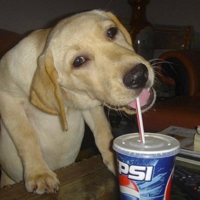 pisssippa's profile picture