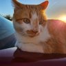 Profilbild von Elias