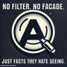 A1 Politics's profile picture