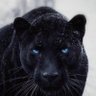 Yaaa bi dur kardeşim's profile picture