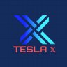 Tesla 𝕏's profile picture