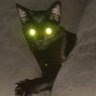Profilbild von maza