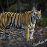 Фото профиля Nahar Singh