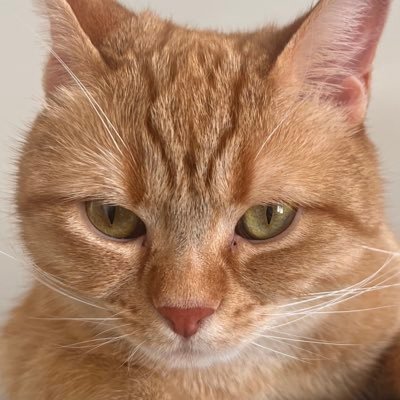 Anita 🏹's profile picture