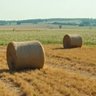 Southwest Hay Exchange profil fotoğrafı