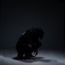 239trap ✞ 的头像