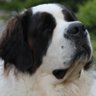 单车就路 profil fotoğrafı
