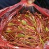 abo Ommar's profile picture