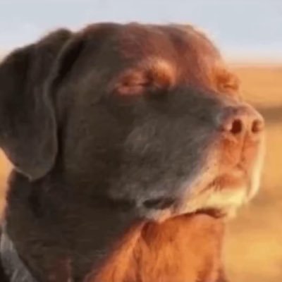 ℂ𝕣𝕠𝕟𝕦𝕤🪐/ CS Studios 🔜???'s profile picture