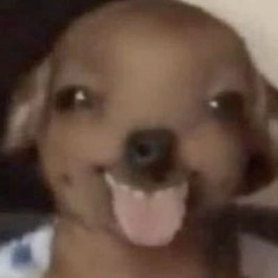 001's profile picture