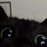 chunky's profile picture